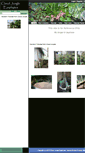 Mobile Screenshot of cloudjungle.com