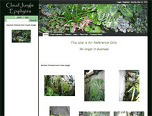 Tablet Screenshot of cloudjungle.com